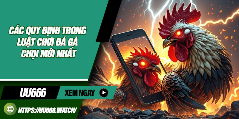 Các Quy Định Trong Luật Chơi Đá Gà Chọi Mới Nhất