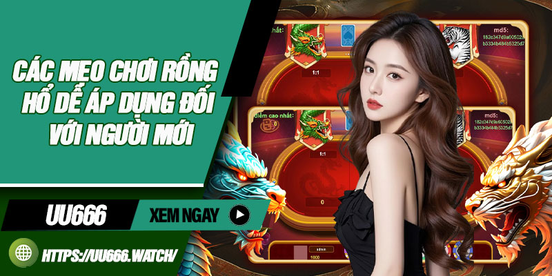 Các mẹo chơi rồng hổ dễ áp dụng đối với người mới