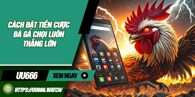 Cách Đặt Tiền Cược Đá Gà Chọi Luôn Thắng Lớn