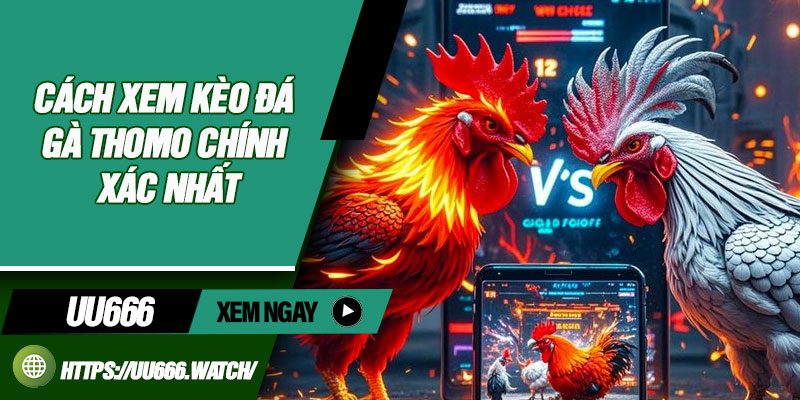 Cách Xem Kèo Đá Gà Thomo Chính Xác Nhất