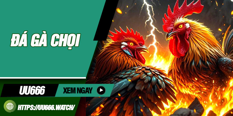 Da Ga Choi