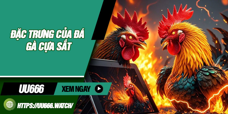 Đặc Trưng Của Đá Gà Cựa Sắt