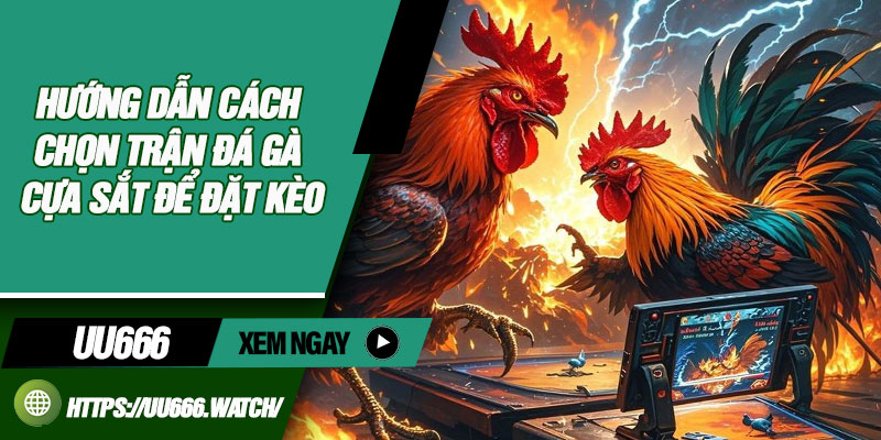 Hướng Dẫn Cách Chọn Trận Đá Gà Cựa Sắt Để Đặt Kèo