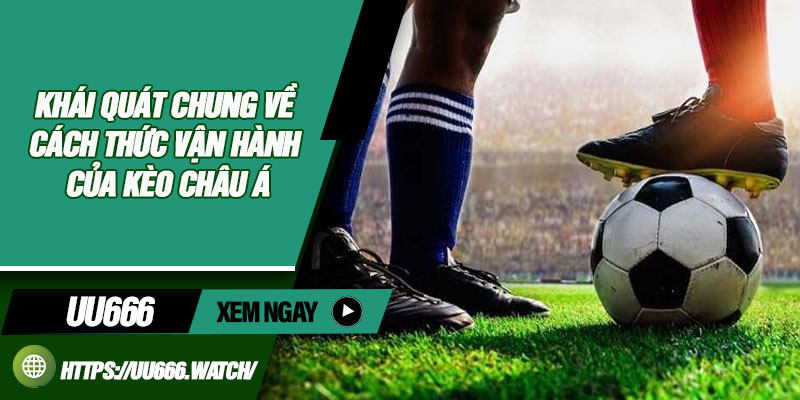 Khái Quát Chung Về Cách Thức Vận Hành Của Kèo Châu Á