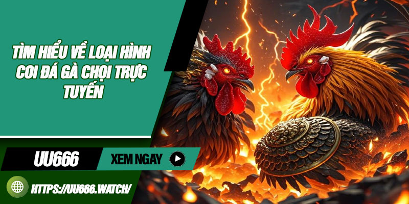 Tìm Hiểu Về Loại Hình Coi Đá Gà Chọi Trực Tuyến