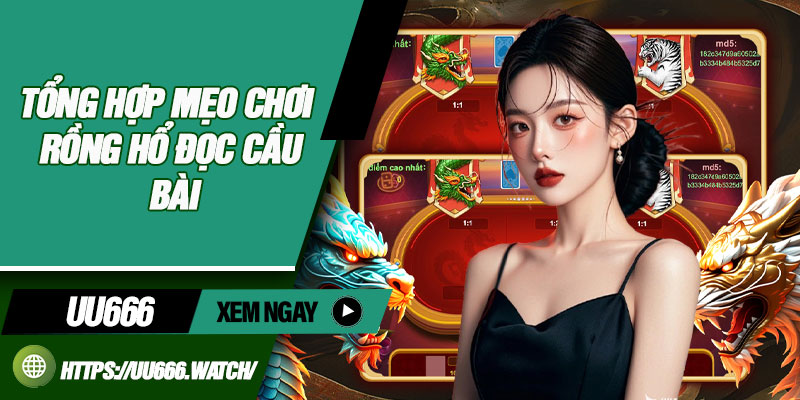 Tổng hợp mẹo chơi rồng hổ đọc cầu bài